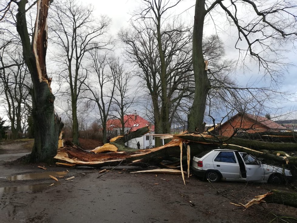 Českem se na začátku února prohnala bouře Sabine. V Libereckém kraji vítr polámal stromy a poškodil majetek.