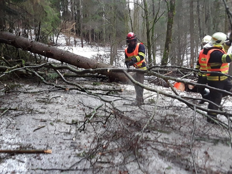 Hasiči v Olomouckém kraji kvůli vichru zasahovali na desístkách míst.