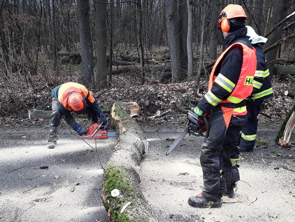 Hasiči v Olomouckém kraji kvůli vichru zasahovali na desítkách míst.