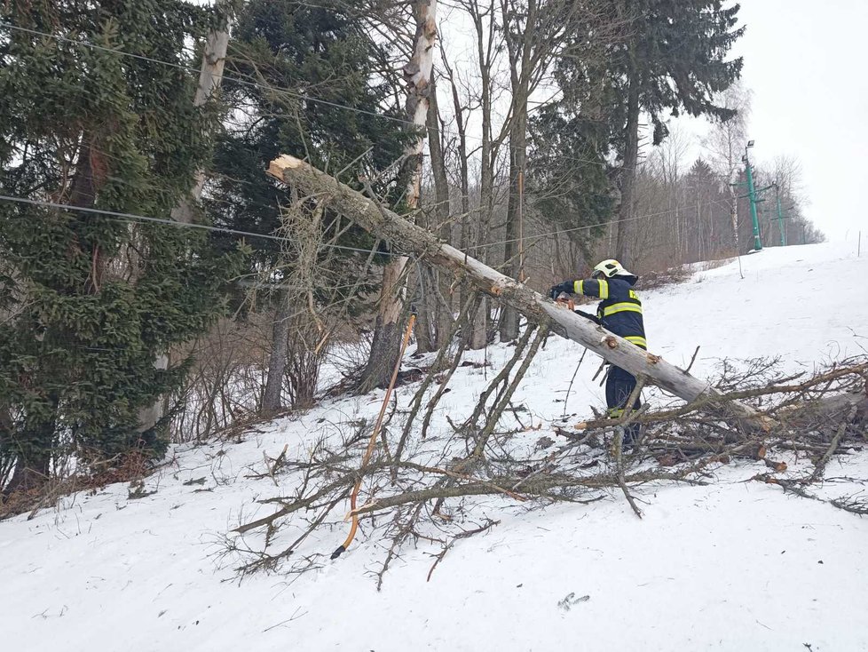 Vichřice v ČR: Ve Zlaté Olešnici na Jablonecku spadl strom na místní vlek (30. 1. 2022).