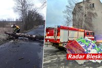 ONLINE: Vichřice v Česku zabíjela! Na muže spadla zeď, nehod přibývá. Sledujte radar Blesku