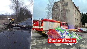 ONLINE: Vichřice v Česku zabíjela! Na muže spadla zeď, nehod přibývá. Sledujte radar Blesku