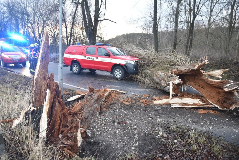 Asi tři desítky výjezdů měli v noci na čtvrtek hasiči v Karlovarském kraji kvúli větru. Odstraňovali stromy, které padly na silnice, někde i na domy či auta. V Karlových Varech v ulici Závodní havarovalo velitelské auto hasičů (na snímku), které jelo k zásahu. Narazilo do stromu, který spadl přímo před projíždějící vozidlo (17. 2. 2022)