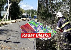 Česko se potýká se silných vichrem, hasiči odklízejí především popadané stromy (26.8.2020)