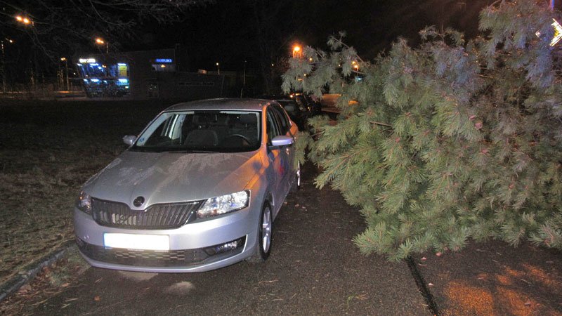 Škoda způsobená vichřicí