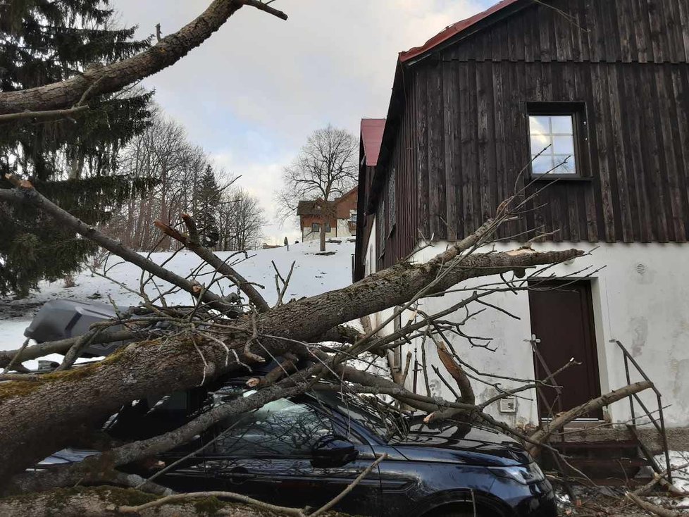 V obci Kořenov na Jablonecku spadl strom na auto. (17.2.2002)
