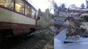 Hasiči na Klatovsku a Domažlicku odstraňovali popadané stromy.