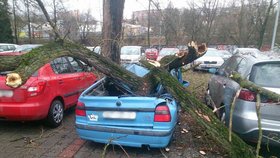 Jižní Moravou se prohání silný vítr, který vyvrací stromy. Na 14 500 domácností je bez proudu.