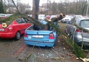 Jižní Moravou se prohání silný vítr, který vyvrací stromy. Na 14 500 domácností je bez proudu.