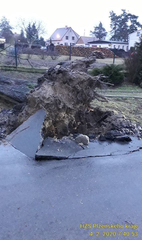 Ve Svéradicích vyvrátil vítr i statný strom.