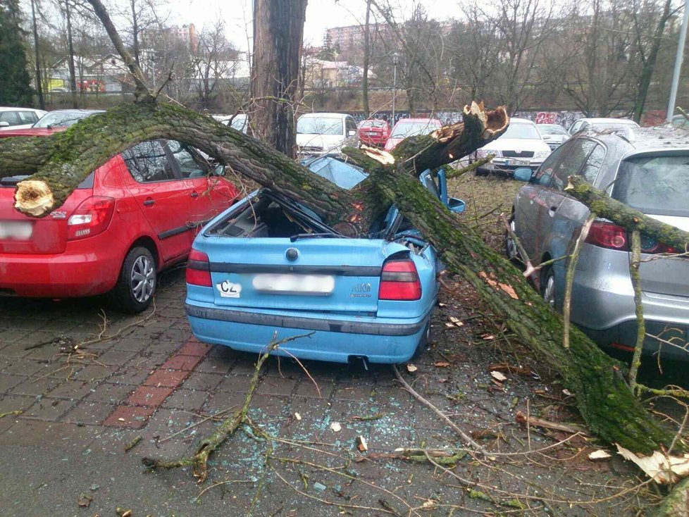 Jižní Moravou se prohání silný vítr, který vyvrací stromy. Na 14 500 domácností je bez proudu.