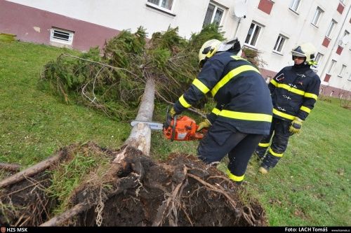 Hasiči měli nejvíce práce s odstraňováním spadlých a nebezpečně nakloněných stromů.