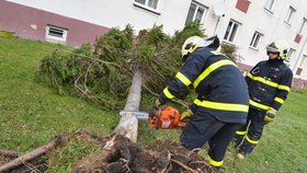 Hasiči měli nejvíce práce s odstraňováním spadlých a nebezpečně nakloněných stromů. Opravovali i střechy.