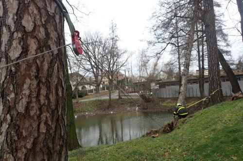 Hasiči měli nejvíce práce s odstraňováním spadlých a nebezpečně nakloněných stromů. (archivní foto)