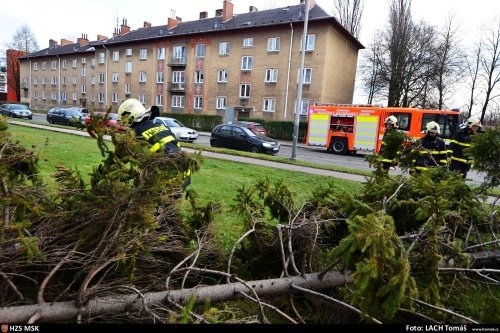 Hasiči měli nejvíce práce s odstraňováním spadlých a nebezpečně nakloněných stromů. (archivní foto)