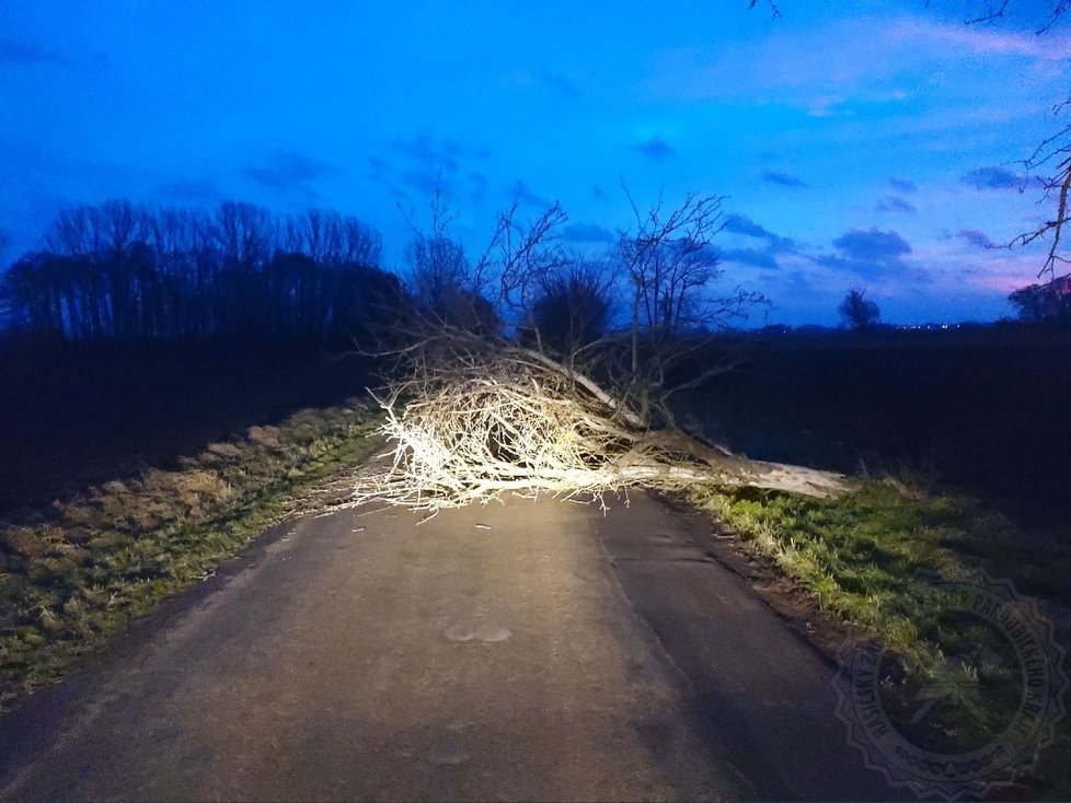 Hasiči na Pardubicku odklízeli následky silného větru (5. 12. 2020)