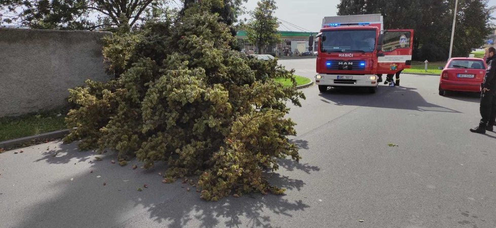 Hasiči odstraňovali následky silného větru v Olomouckém kraji (3. 10. 2020)