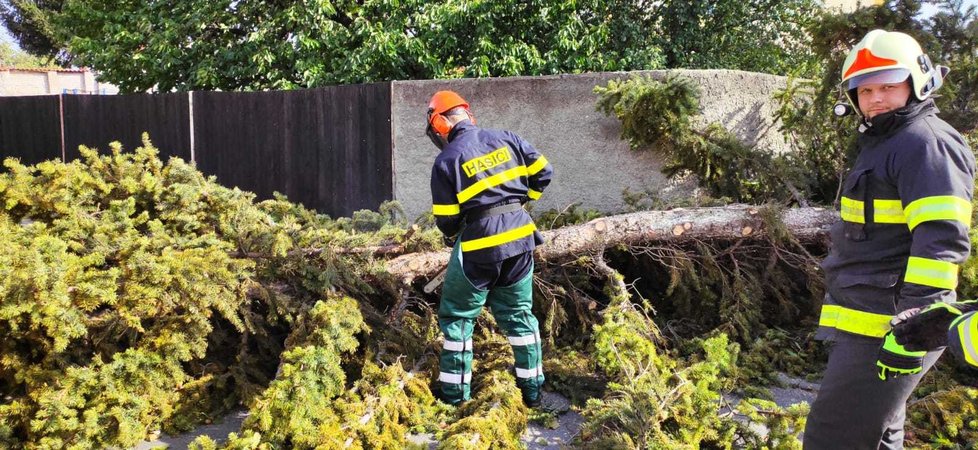 Hasiči odstraňovali následky silného větru v Olomouckém kraji (3. 10. 2020)