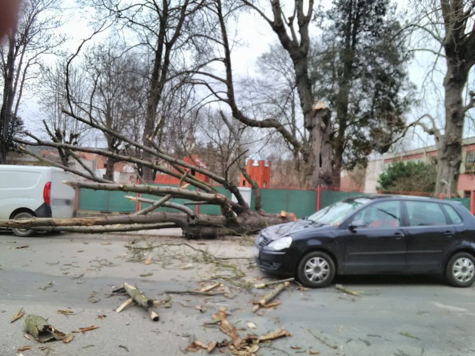 Vítr strhával 4.3.2019 střechy a lámal stromy