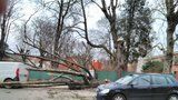 V Česku se opět zvedá vítr: Škody jsou do milionů, proud už energetici „nahodili“ všem