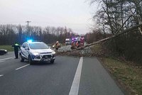Vítr v Česku vyvracel stromy a zastavil vlaky, blesk zapálil dům. Hasiči jeli i k nehodám