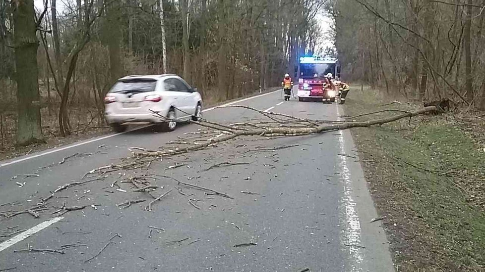 Silný vítr zasáhl v pondělí 4. března v odpoledních hodinách i Pardubický kraj.