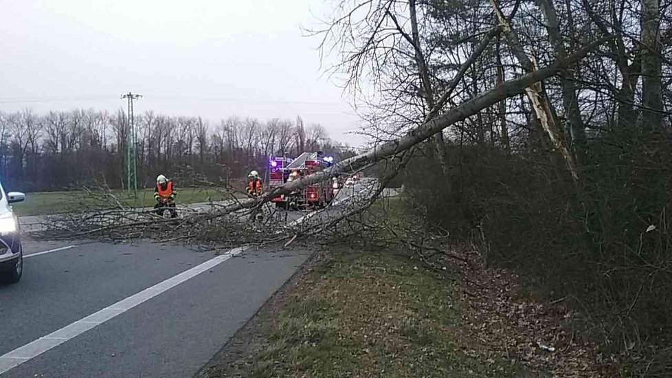 Silný vítr zasáhl v pondělí 4. března v odpoledních hodinách i Pardubický kraj