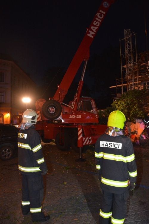 Ze zahrady Werichovy vily spadl strom. Zdemoloval luxusní auto.