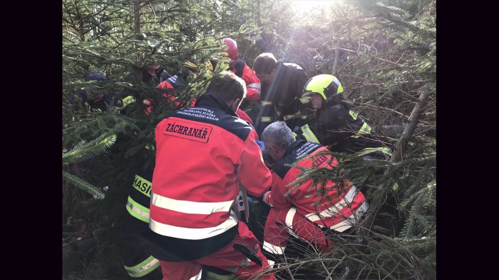 Mladého muže zavalil strom u Křetína na Boskovicku. Vrtulník nedokázal v nepřístupném terénu přistát.