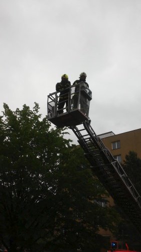 Hasiči v Třinci zachraňovali uvízlého rorýse.