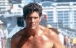 Hasselhoff