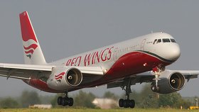 Tupolev patřil společnosti Red Wings Airlines