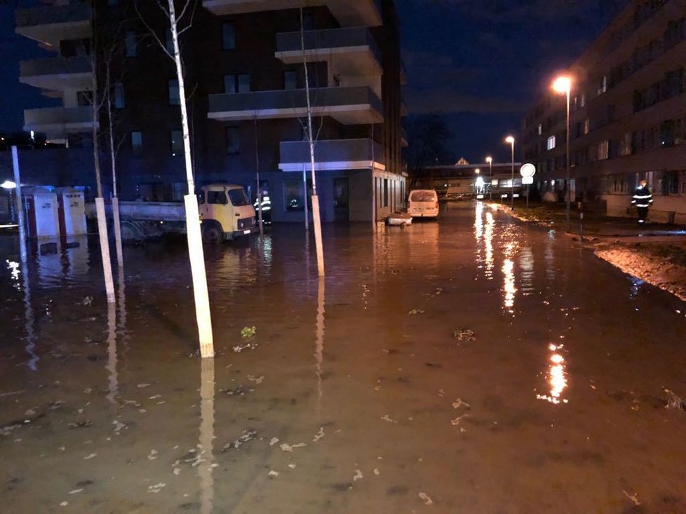 Havárie vody se stala v Nekvasilově ulici nedaleko Invalidovny.