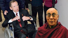 Havla museli k dalajlamovi vézt na vozíku
