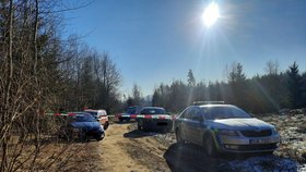 Tělo uškrcené ženy bylo nalezeno na lesní cestě poblíž Havlíčkova Brodu.