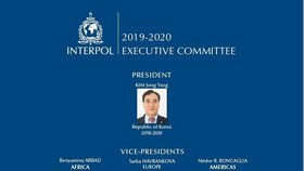 Tablo vedení Interpolu. Nechybí na něm mezi viceprezidenty ani Češka Šárka Havránková.