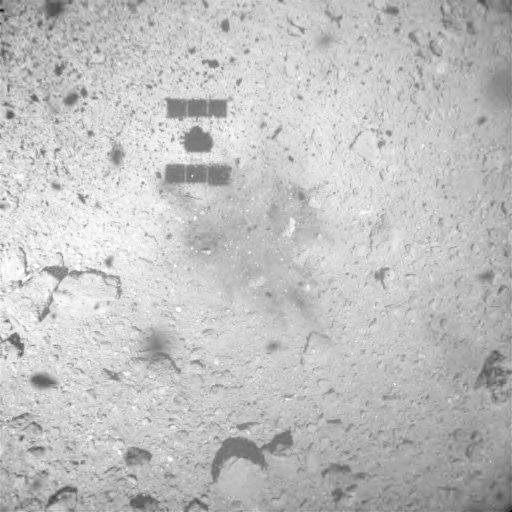 Fotografie asteroidu Ryugu se stínem sondy Hayabusa 2 ve výši 20 kilometrů, k výstřelu došlo v temnějším poli pod stínem
