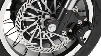 Hecht Cocis Mini Hecht Cocis Mini