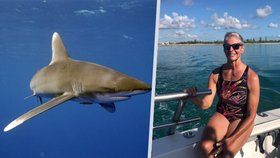 Američanku během dovolené na Bahamách napadl žralok: V nemocnici jí museli amputovat nohu