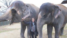 Heidi Janků znala slonici Kalu, která zemřela, osobně.