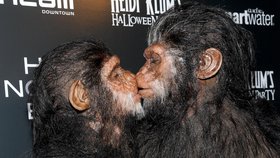 Opičí polibek v podání Heidi Klum a Seala