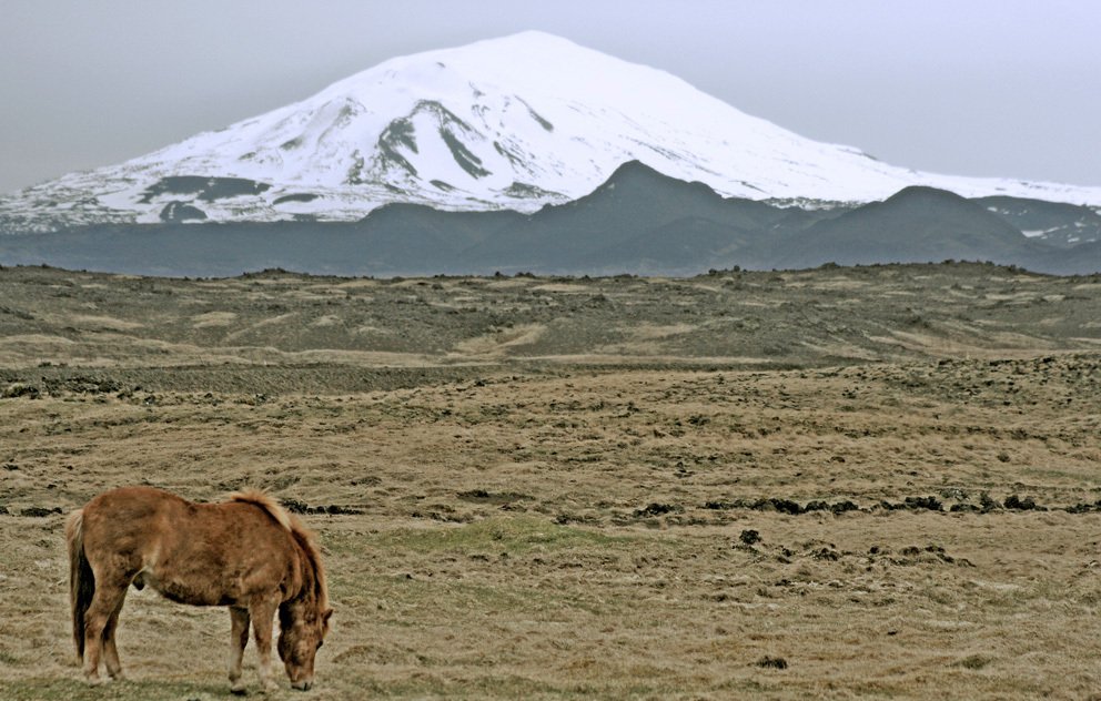 Ač tak nevypadá, Hekla je jeden z nejznámějších aktivních stratovulkánů na Islandu.