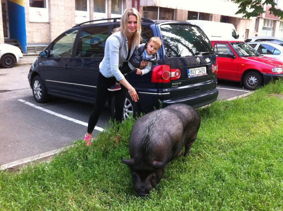 Holešovická celebrita Hektor s majitelkou