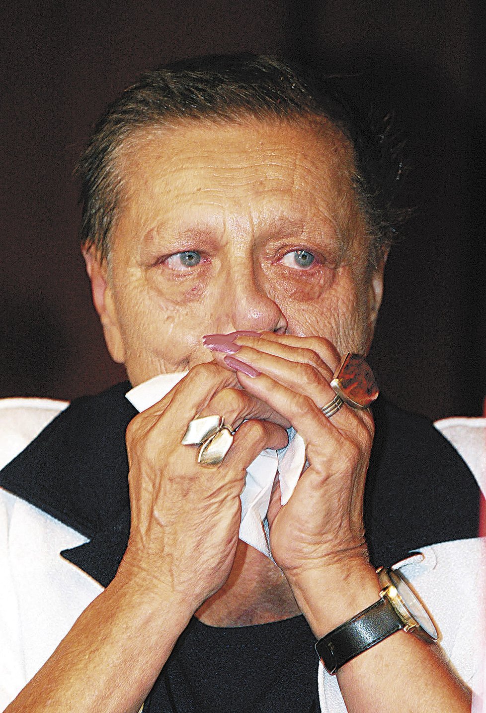 Helena Růžičková (†67) zemřela v plzeňské nemocnici 4. ledna 2004 na selhání ledvin.