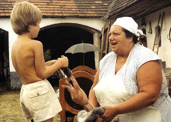 Helena Růžičková ve filmu Slunce, seno, jahody (1983)