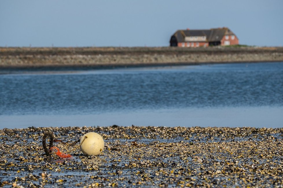 Pohled z Tameswarft na Hallig Langeness.