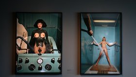 „Zajímá mě zevnějšek. Obličej, prsa, nohy. Duši nefotím,“ říkal módní fotograf Helmut Newton.