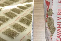 Nebezpečná „droga chudých“ v Česku: Syntetické konopí zabíjí