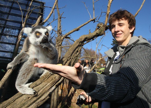 Jakub Štáfek (Matěj Jordán) se bál, aby ho lemur také nepokousal.