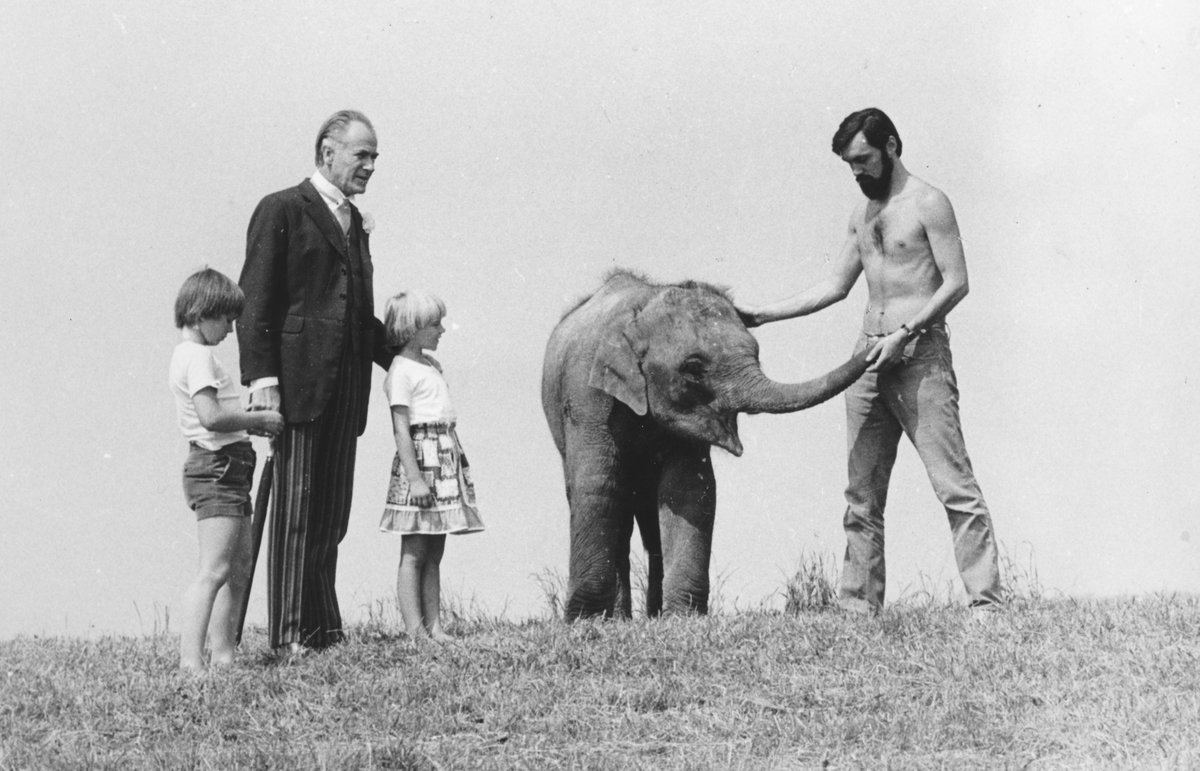 Po boku Pana Tau (Otto Šimánek) si zahrálo slůně z pražské zoo Shanti. Na snímku doprovází slůně při natáčení v roce 1977 chovatel Zbyněk Šíša.